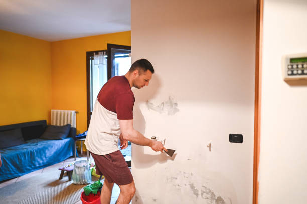Best Mold Remediation for Schools in Exmore, VA