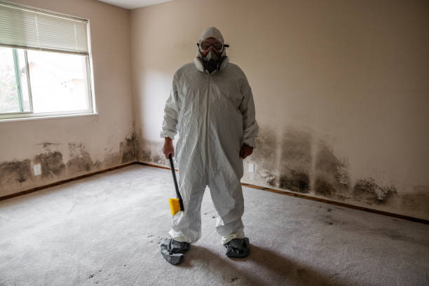 Best Post-Remediation Services in Exmore, VA